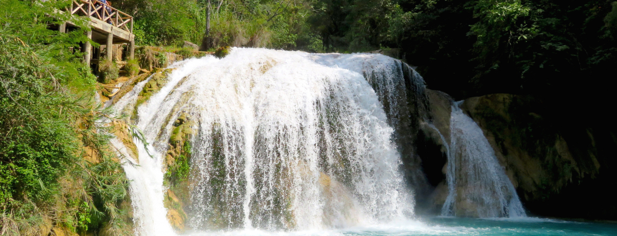 �^�[�R�C�Y�u���[�̐�ɔ����P���I���L�V�R�u�`�t������Q�v