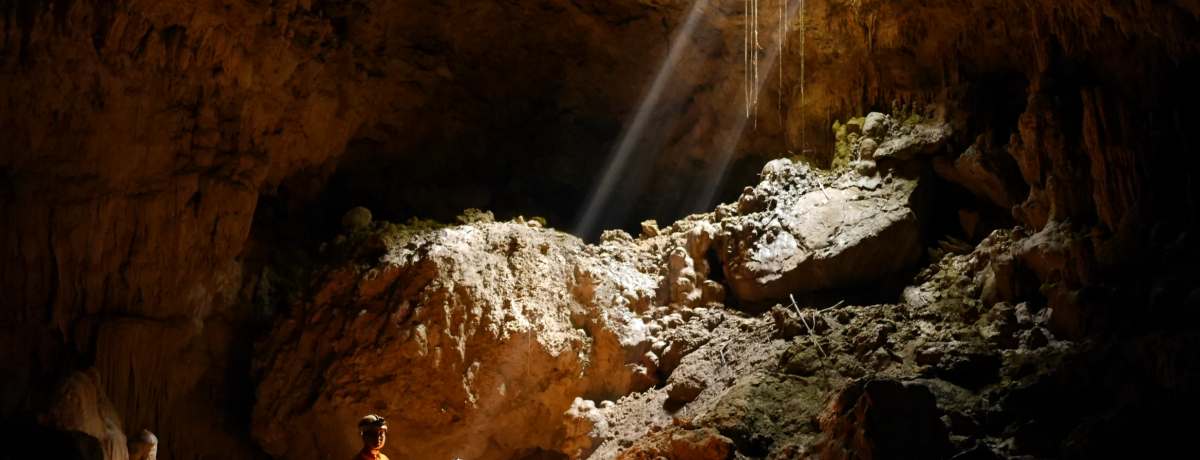 {iŋC͒TƁIu\fB[vPCrOv