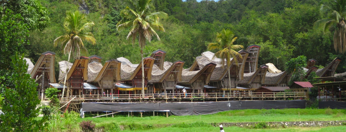 �����`���������c���C���h�l�V�A�̓������u�^�i�E�g���W���v