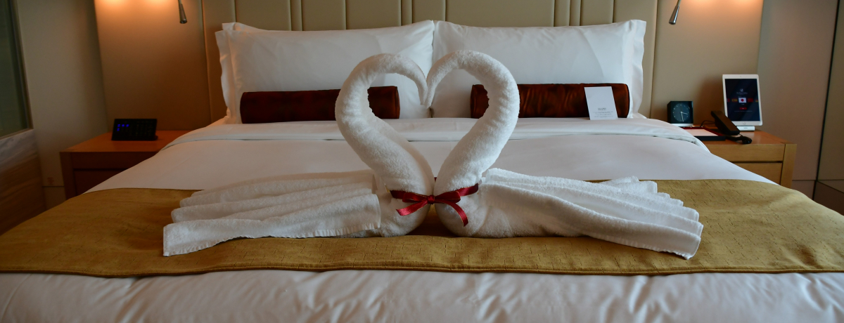 ʂȓɉ߂uUEvXM[I䒬v