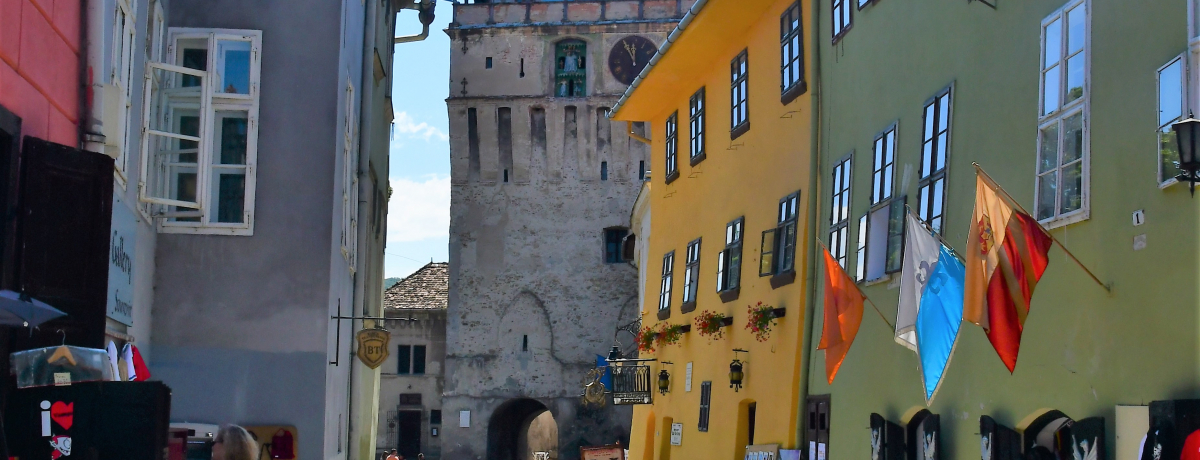 �h���L�����̐��Ƃ��I���[�}�j�A�̐��E��Y�u�V�M�V���A���v