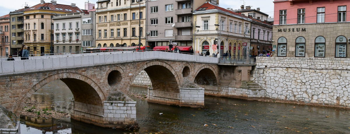 �T���G�{�`�����̖����Ə@���������荇���A���j���d�˂ė�����s�`