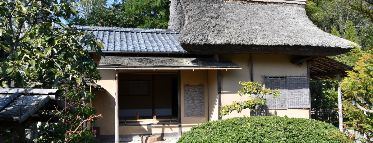 �ق�����I���]�E�����s�����䂩��́u���X���v�ł������ꕞ