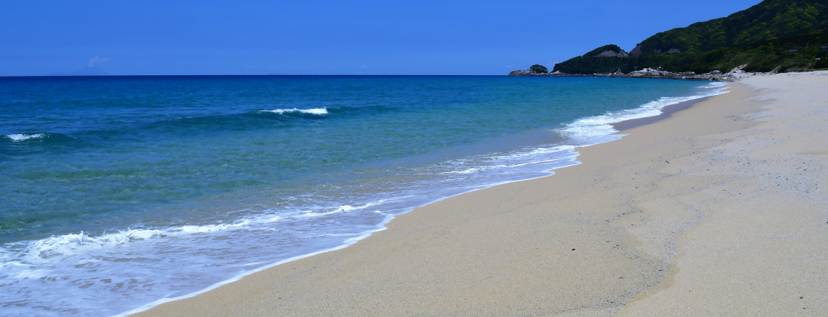 �P���Ŗ��i�I�̗͕s�v�̉��v��������ǂ��도��