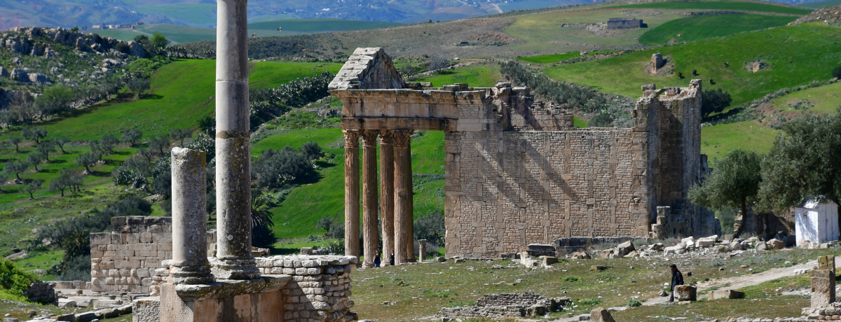 uhDbKv[}鍑̔ɉhɓ``jWA̐EY