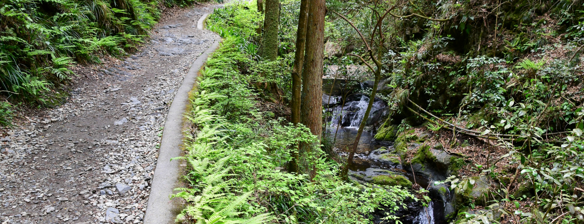 �����R������ēo��Ȃ炨�E�߁I�X�Ɛ��R�[�X6���H�O��K�C�h