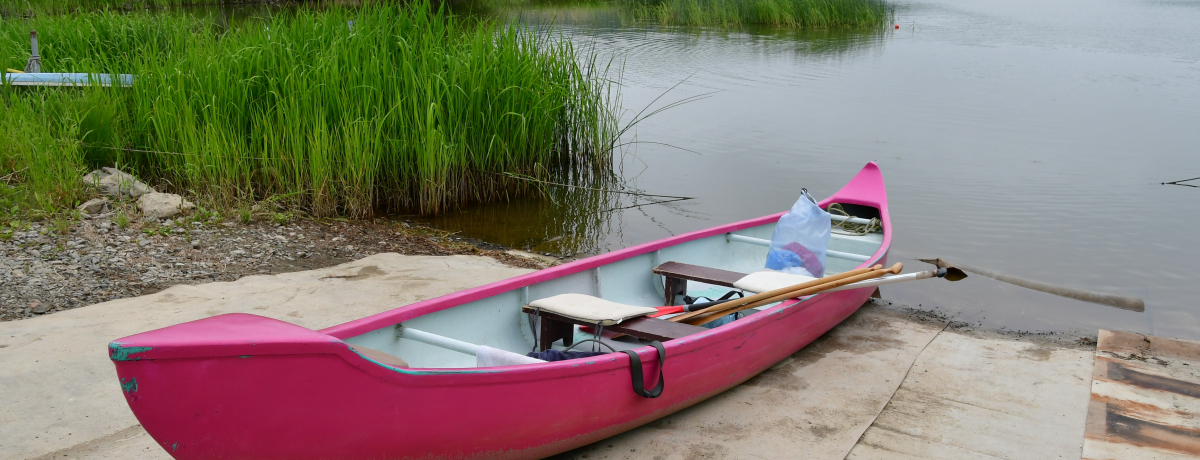 {őuHvJk[ŋH쐶厩R𖞋i