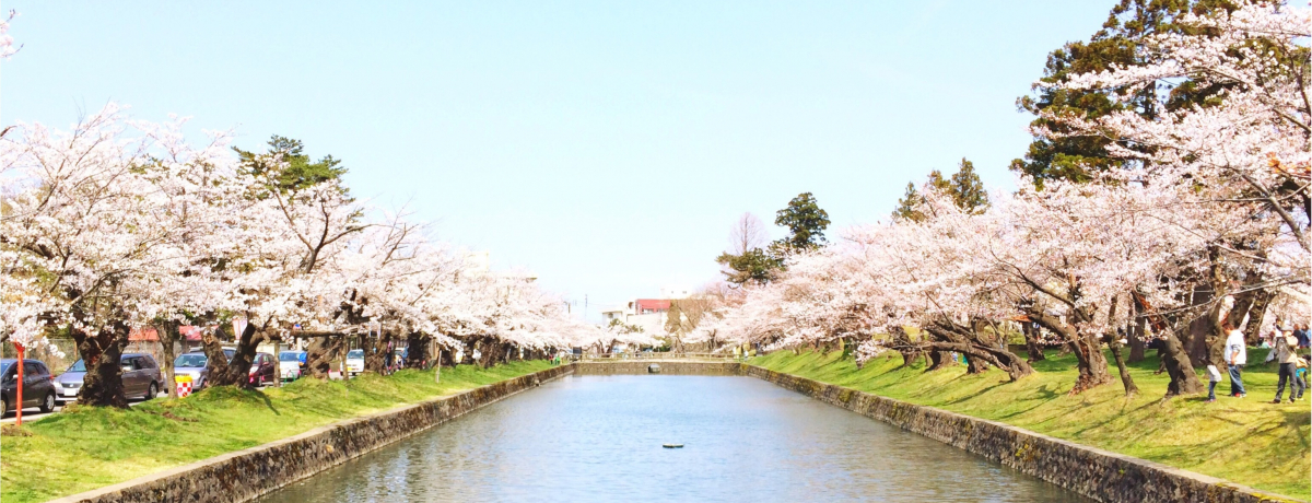 @חDȓ{̗ǂBR`E߉̏tĂ̗