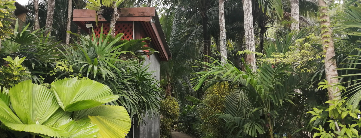 WOŖ򑐃TEǐIv[PbguJgDEn[uTEiv