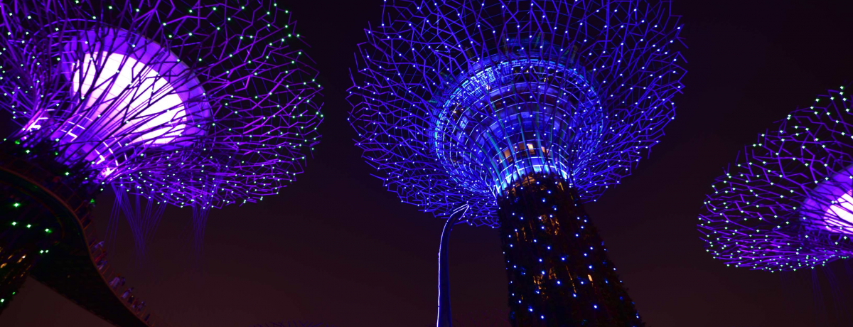 Ŋy߂ VK|[̃iCgX|bg3I