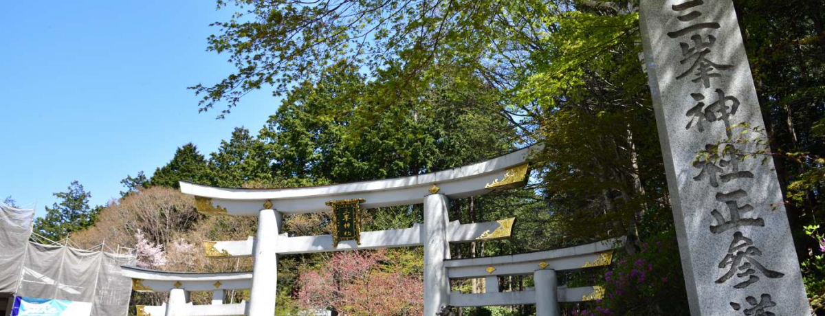 �֓����w�̃p���[�X�|�b�g ��ʁE�O���_�� ���{�܂ł��{���̎Q�q