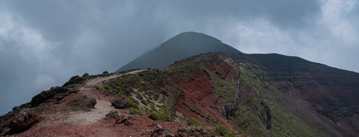 ��{���n�v�Ȃ��o�������������̗��E������