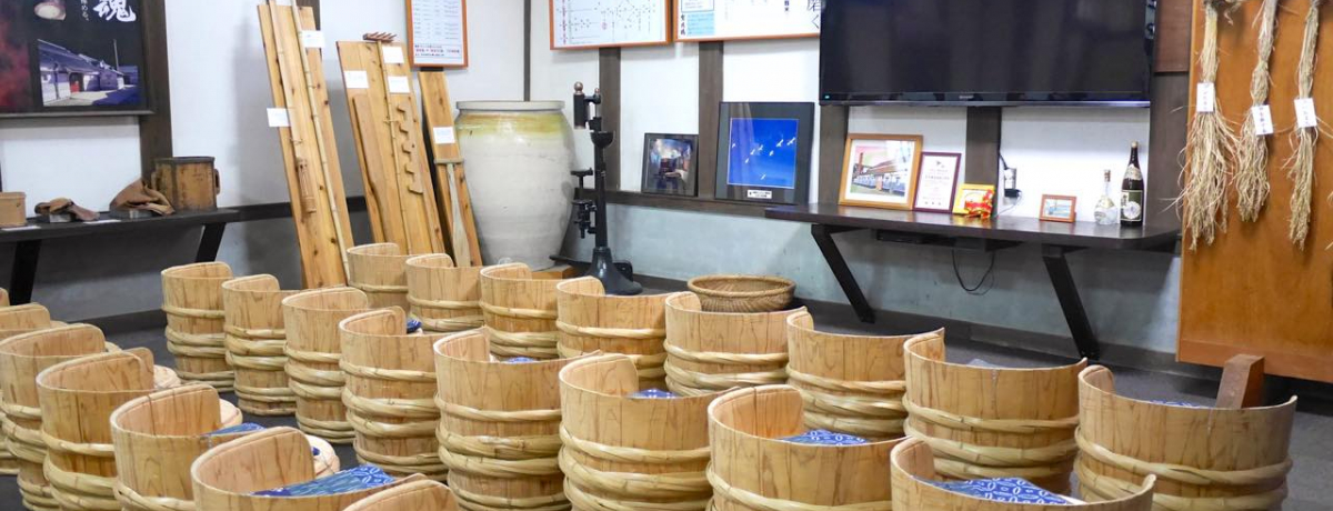 LŎ𑠌wI𑢂̐S`uΒߎ𑢁v