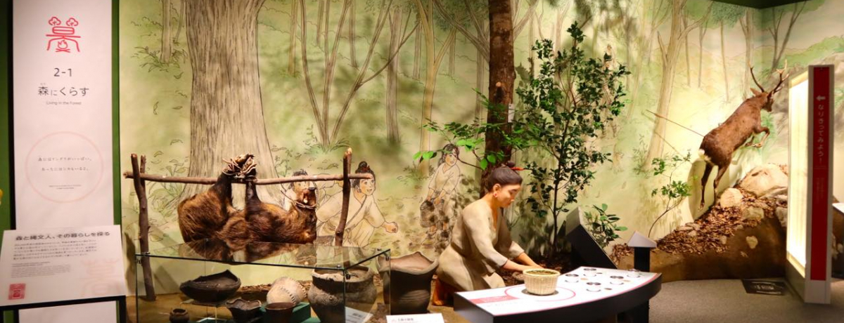 uꌧiΔفvj[AIg̃c_XL[]E