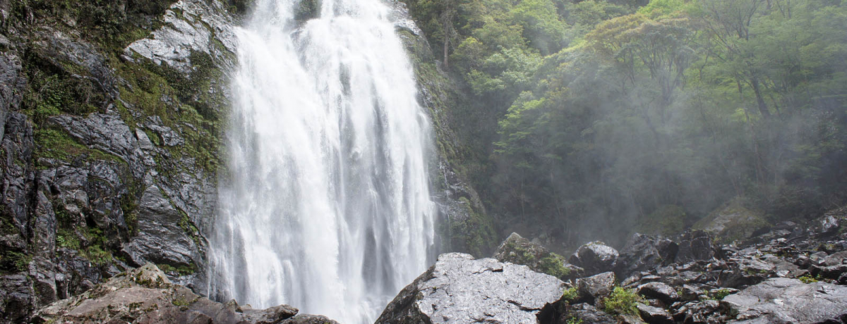 ���{�Ɏc��鋫�A���e�z�̐�i��Ƃ��߂��闷�@�`��q�̑�i�ޗǌ���k�R���j