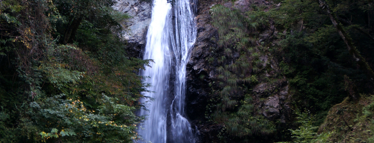 ɌIH̐삪ɂȂ鉏т̑@`siɌsj