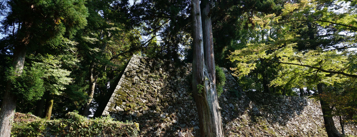 �|�X�g�|�c��̍ŗL�͌��!?�R��ɒz���ꂽ�퍑�̋����ԐՁ@�`�����i�ޗǌ����撬�j