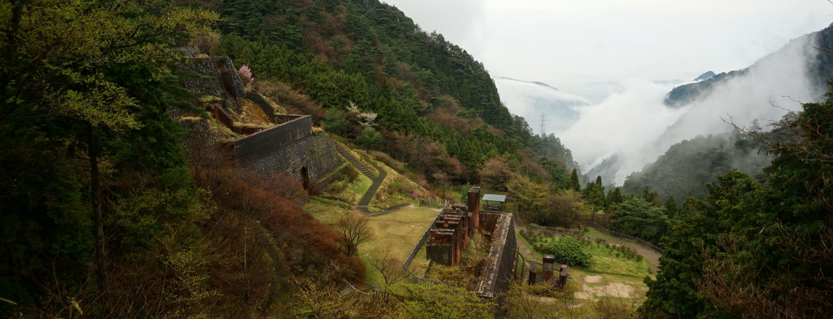 ���Q�E�ʎq���R�͌���̃��s���^�I���ĂP���l����炵���V��̑�