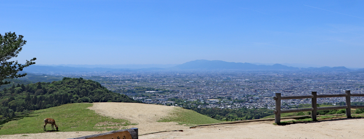 {NɂoꂽIxɉyݕ낢ᑐR