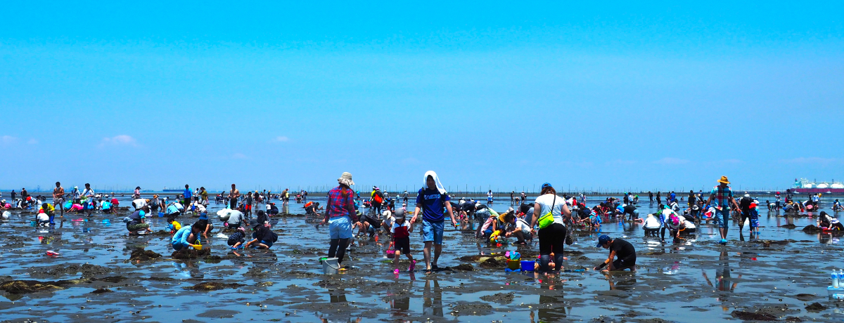 lCIƃ`ŊyސtExÊĈ݂P