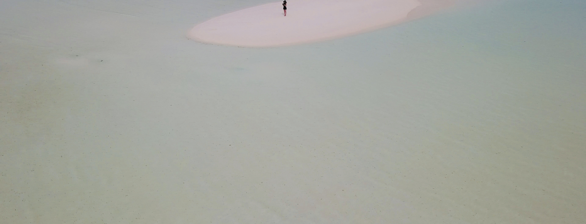 čs錶̓!?NubhEtBm[ B fBu