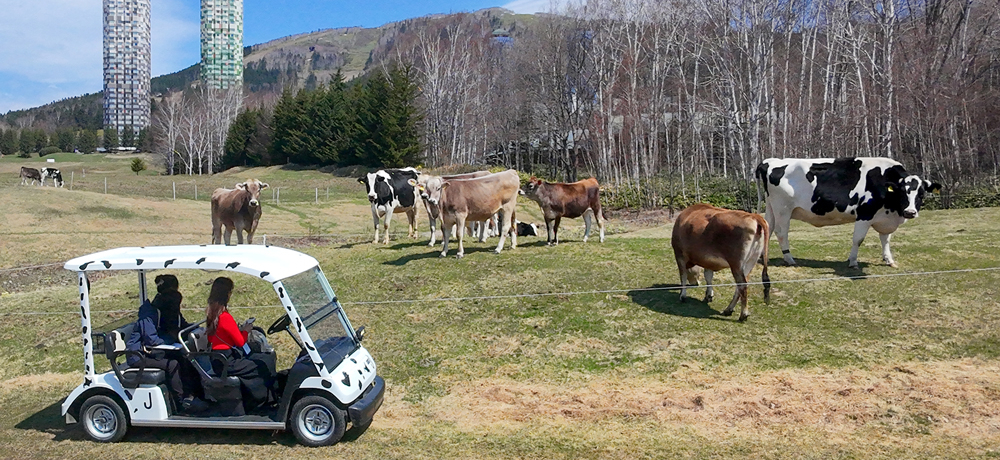 u샊][g@g}ṽt@[ŖkC̑厩R𖞋iI