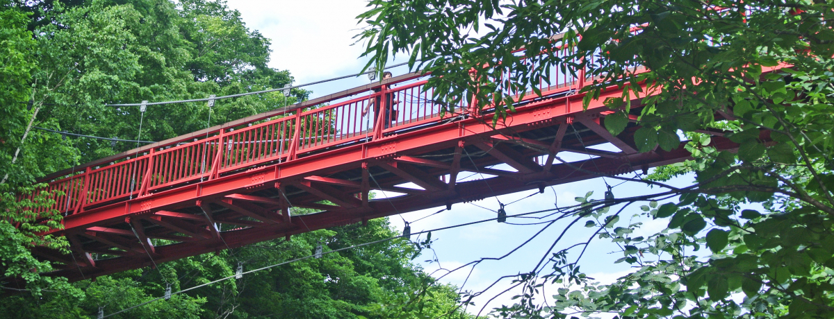 p[X|bgDyRkŊJ^InYȂ8̃|Cg