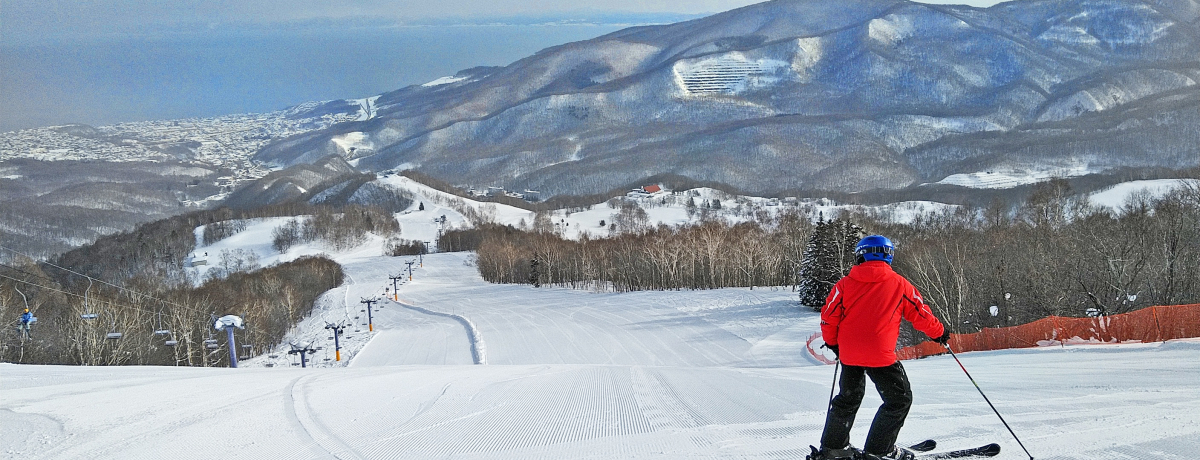 �C�̌�����p�E�_�[�V���I���M�u�����쉷��X�L�[��v