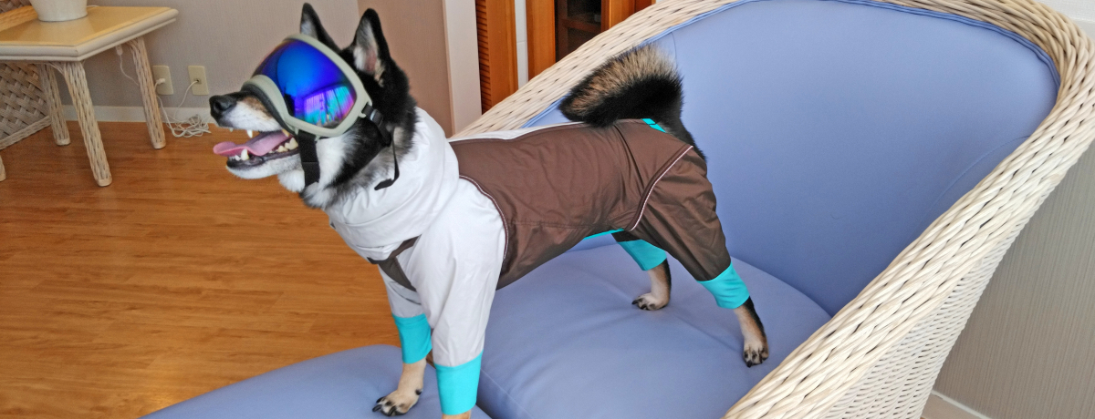 ƃXL[𖞋iIu샊][g@g}v̂Qf2023