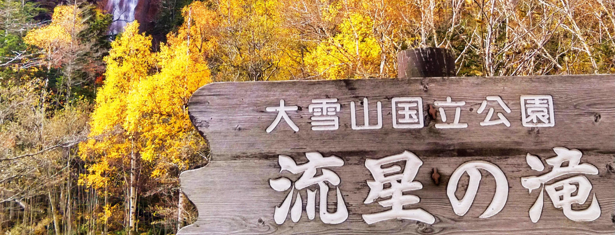 x̐iUIH̖kCuw_vӂ̍gtX|bg