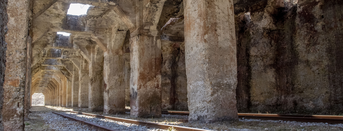 �܂�ŌÑ��ՁI�Q�n�u�����q�w�v�͒m��ꂴ��p�ЃX�|�b�g