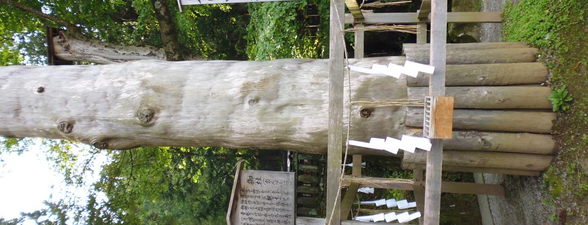 l{̌䒌ɌR쌧uzKЁvA܂͖{{ŎQqƌ䒌[I