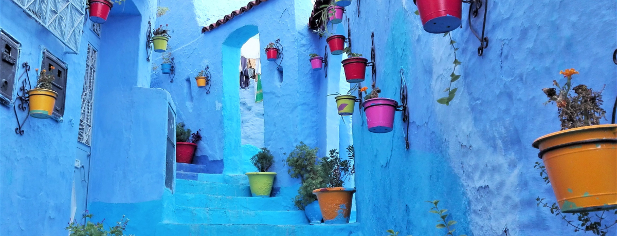 ꂼtHgWFjbNIzIȐEɔэރbRq̃XX