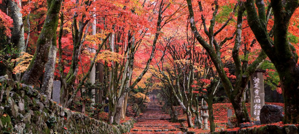 gt̃bhJ[ybgIn鎠E{̎ŨRc