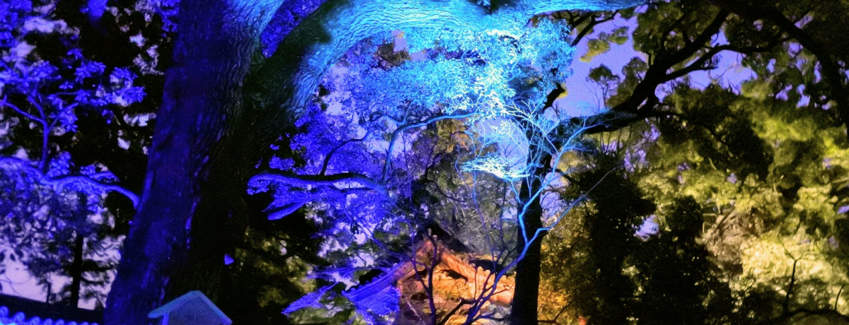 sE@@ՂŉȍɗUt̃CgAbv