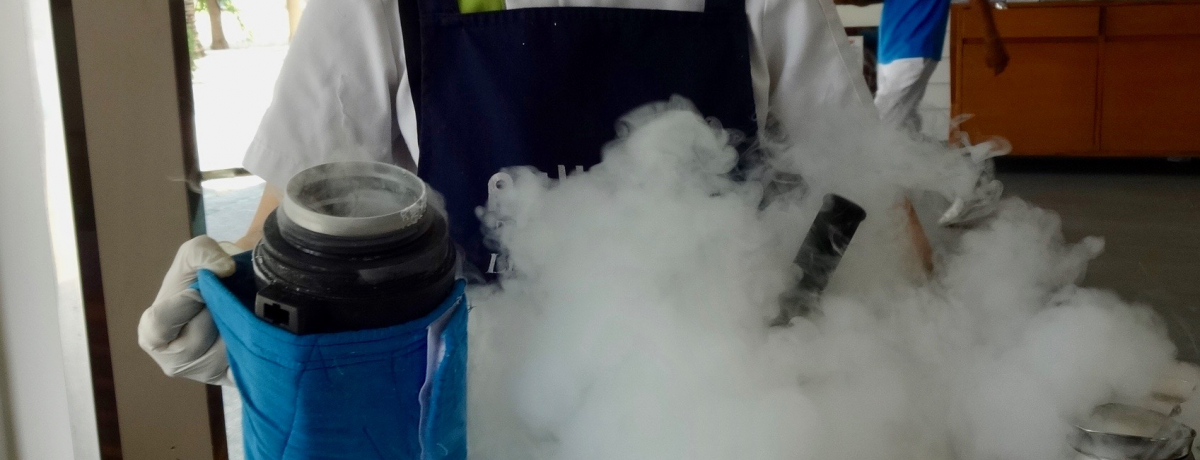 ݂I_iTzeuv}vt̒fACXN[