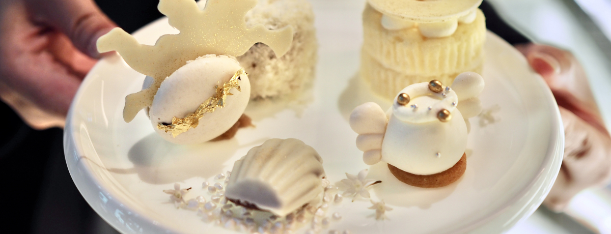 ���{���㗤�I�uvoco ���Z���g�����v�Ŕ����V�g�̃A�t�^�k�[���e�B�[