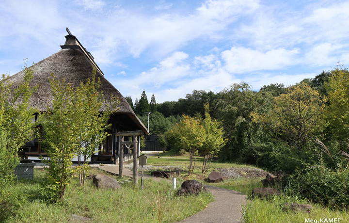 k̏spقɘȂ Ԃ̗فupَR ̍v