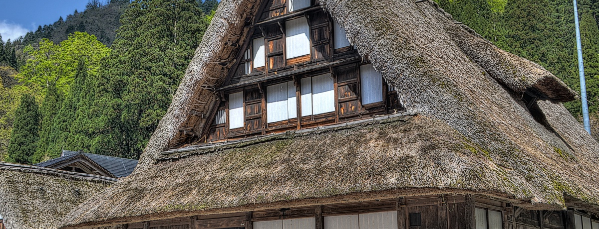 EYł͂ȂIH z܉ӎRł͏dv̍3ɍs