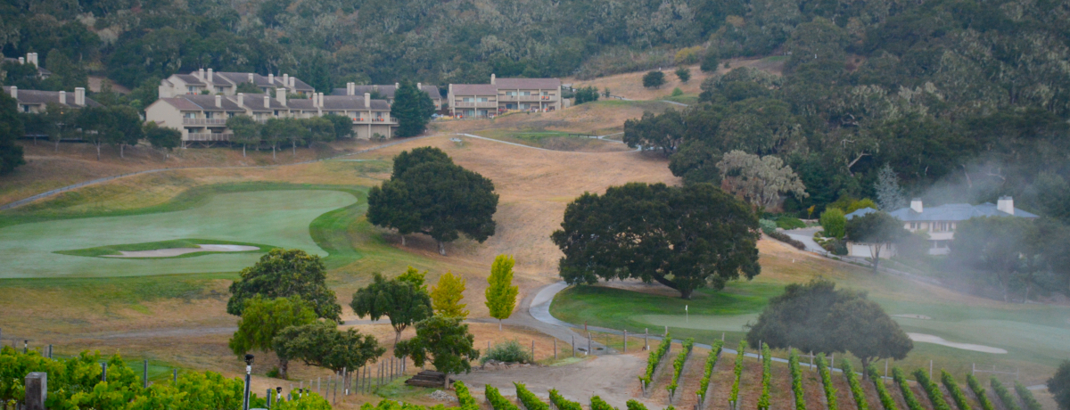 JtHjA̍؃i`][gAJ[o[`