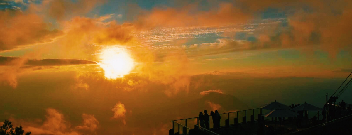 쌧̐i_CX|bguSORA terracei\eXjvU@I