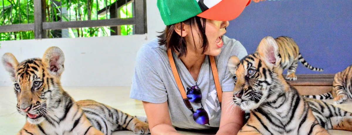 ӃJȐԂgɐGꂠ@p^u^CK[p[Nv