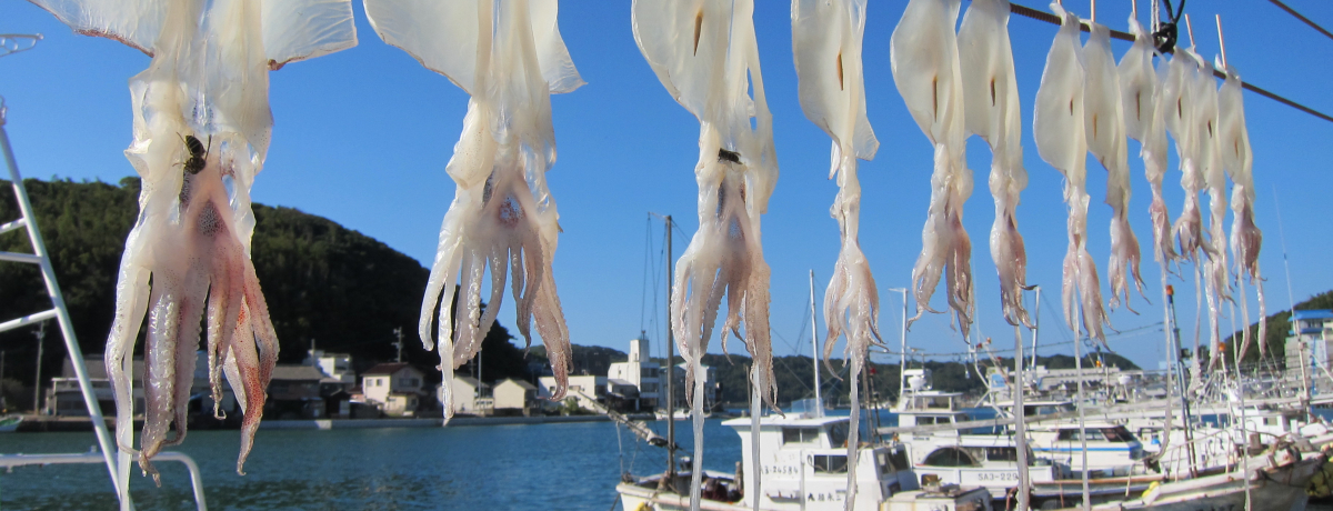 Ďq̂nOwCJx𖡂킢A{O咩s̈wĎqsxłyYIс