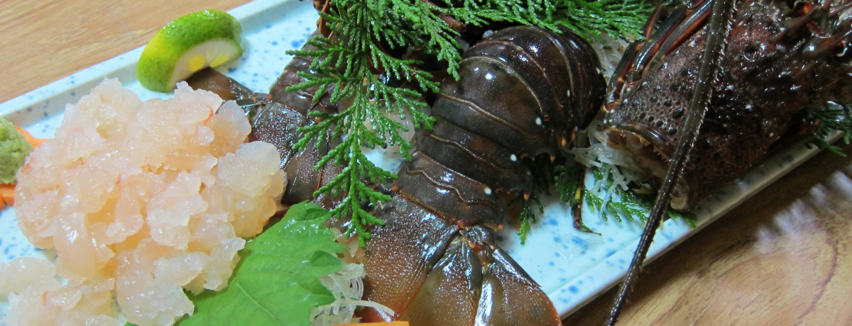 wC݁@ɐё務܂xJÒIPlɂRC̈ɐCV킦huk򗷊يېVv