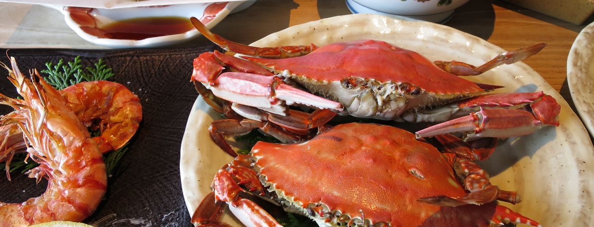 LCCAqŒځÍgHׂĂhOTI