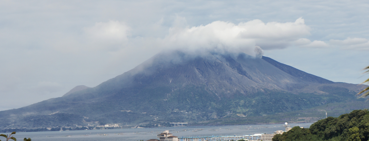 ]ސiIVCIuFv󉷐ƍؗ𖞋i