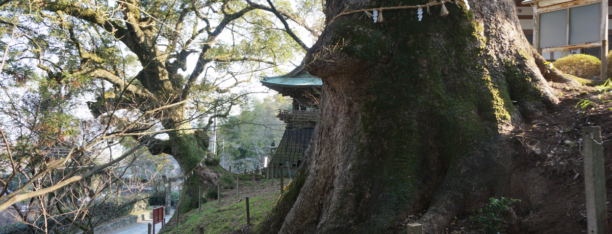 600N̑Iu_Ёv͍̐Vp[X|bg