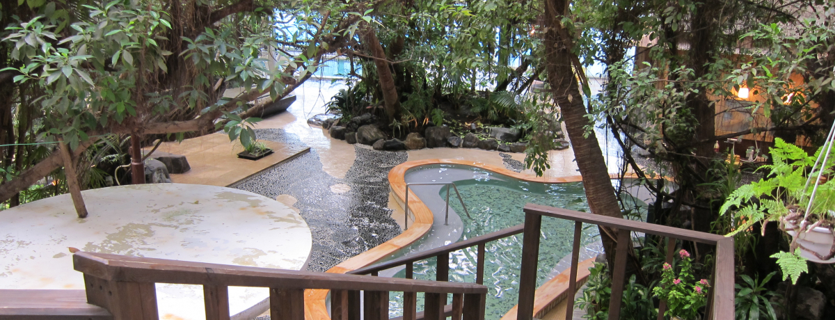 �W�����O�����C�����j�[�N�I�����E���߉���u�א�t�v�v�����̓������i