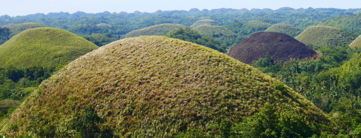 �t�B���s���E�{�z�[�����̓����f�[�g���b�v�Ŋy�������I