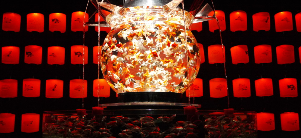 S㇗Il𖣗A[guA[gANAEvDy㗤I